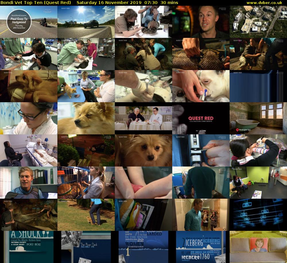 Bondi Vet Top Ten (Quest Red) Saturday 16 November 2019 07:30 - 08:00