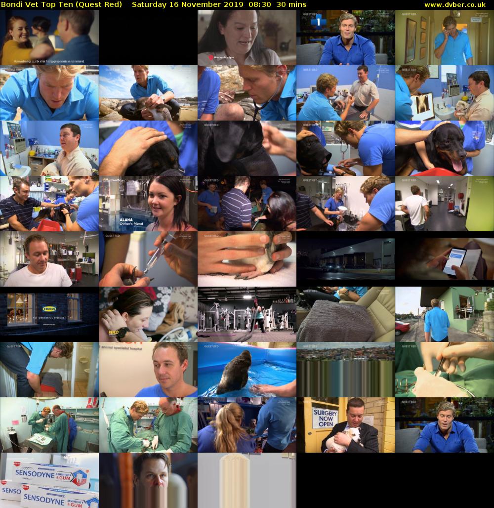 Bondi Vet Top Ten (Quest Red) Saturday 16 November 2019 08:30 - 09:00