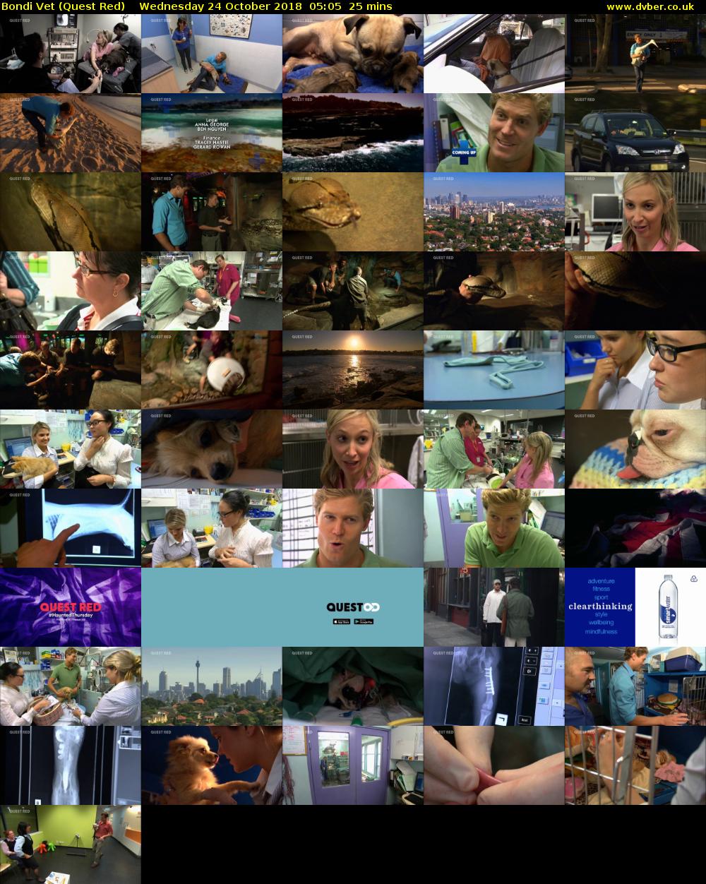 Bondi Vet (Quest Red) Wednesday 24 October 2018 05:05 - 05:30