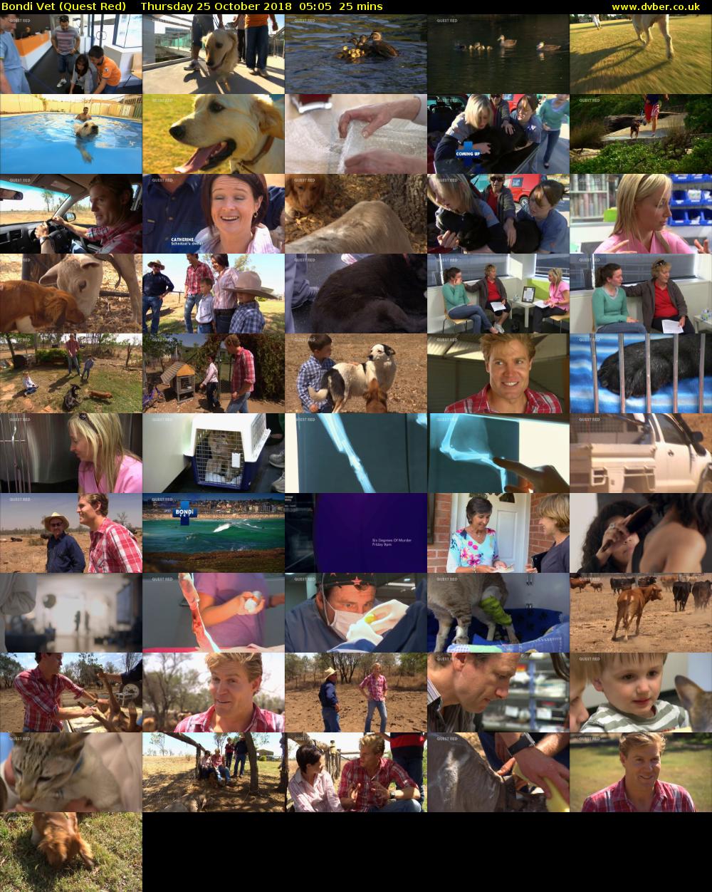 Bondi Vet (Quest Red) Thursday 25 October 2018 05:05 - 05:30