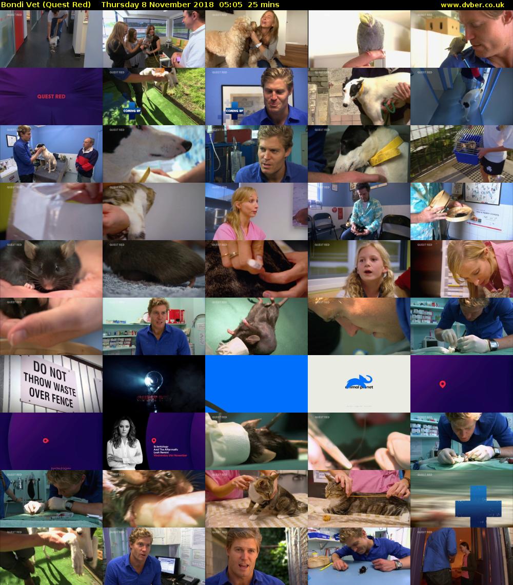 Bondi Vet (Quest Red) Thursday 8 November 2018 05:05 - 05:30