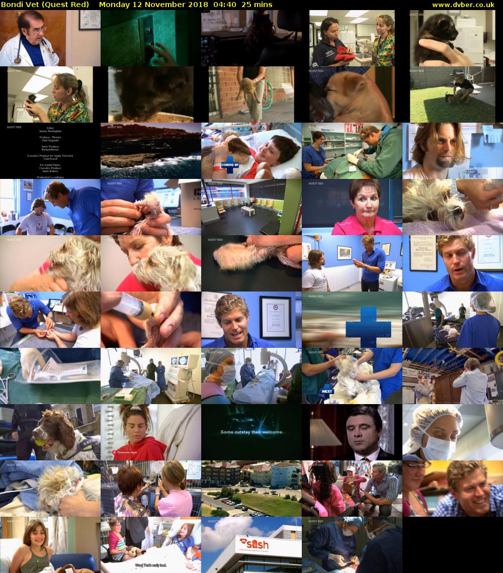Bondi Vet (Quest Red) Monday 12 November 2018 04:40 - 05:05