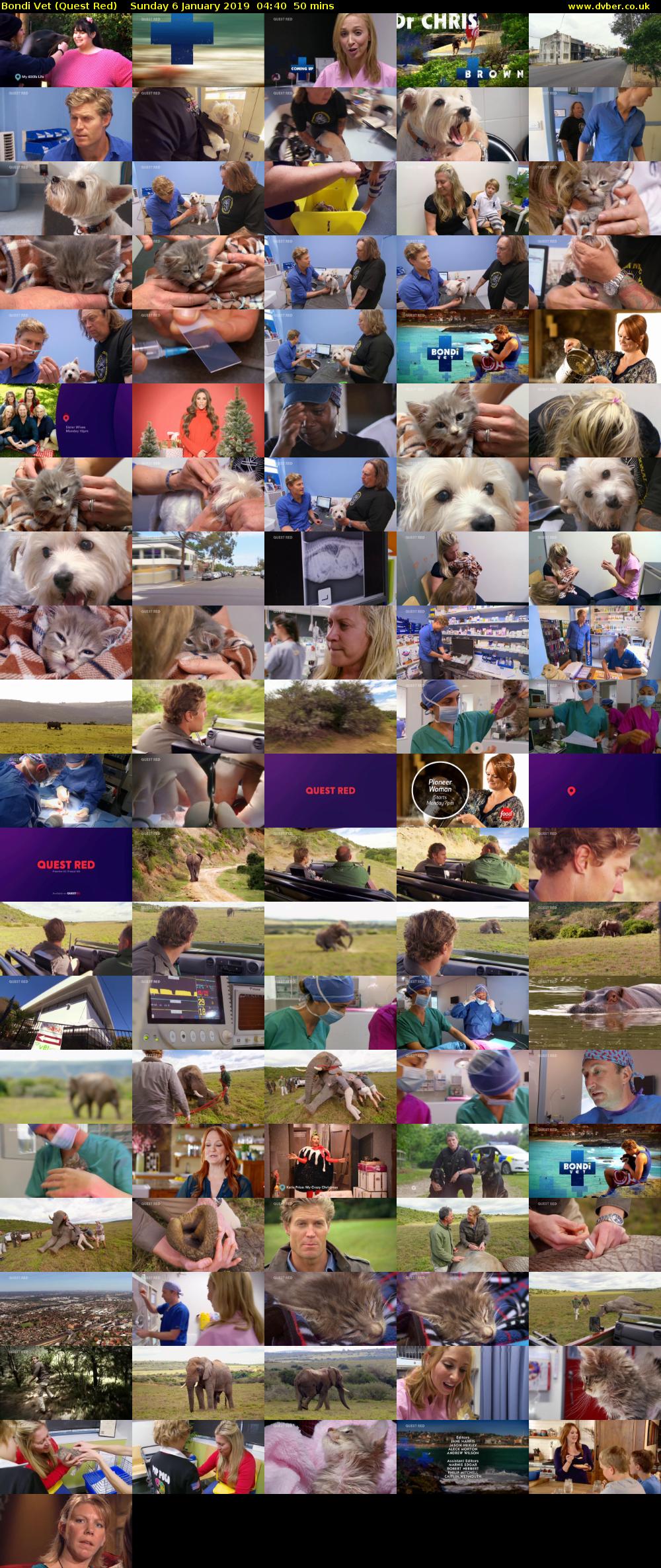 Bondi Vet (Quest Red) Sunday 6 January 2019 04:40 - 05:30