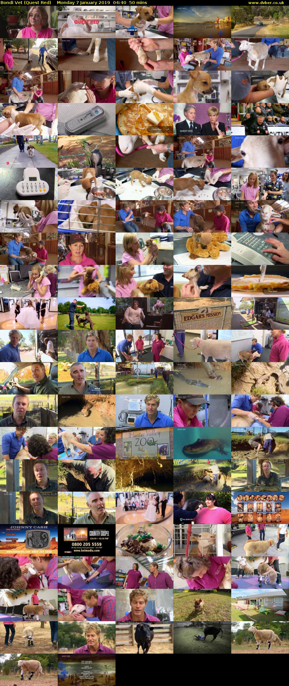 Bondi Vet (Quest Red) Monday 7 January 2019 04:40 - 05:30