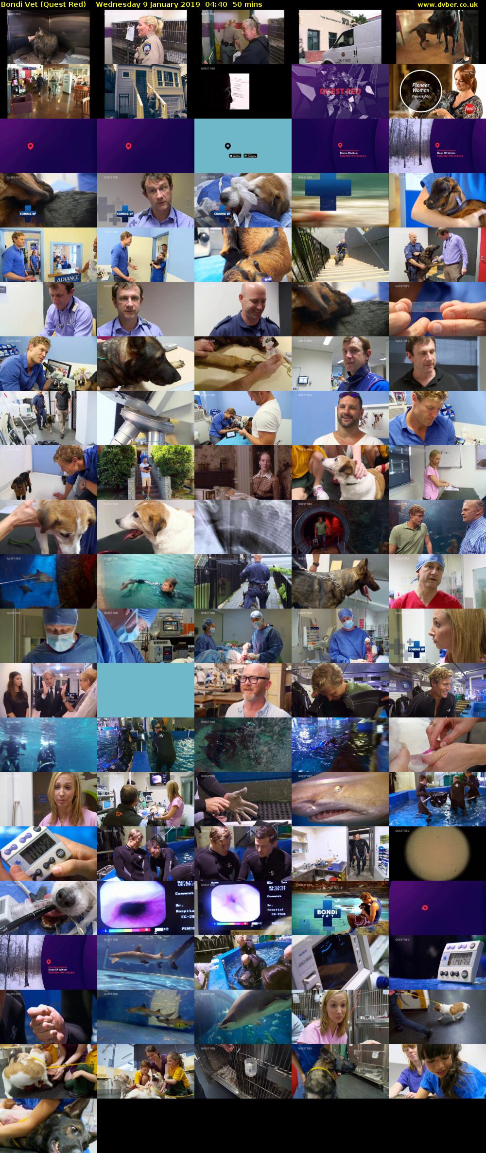 Bondi Vet (Quest Red) Wednesday 9 January 2019 04:40 - 05:30