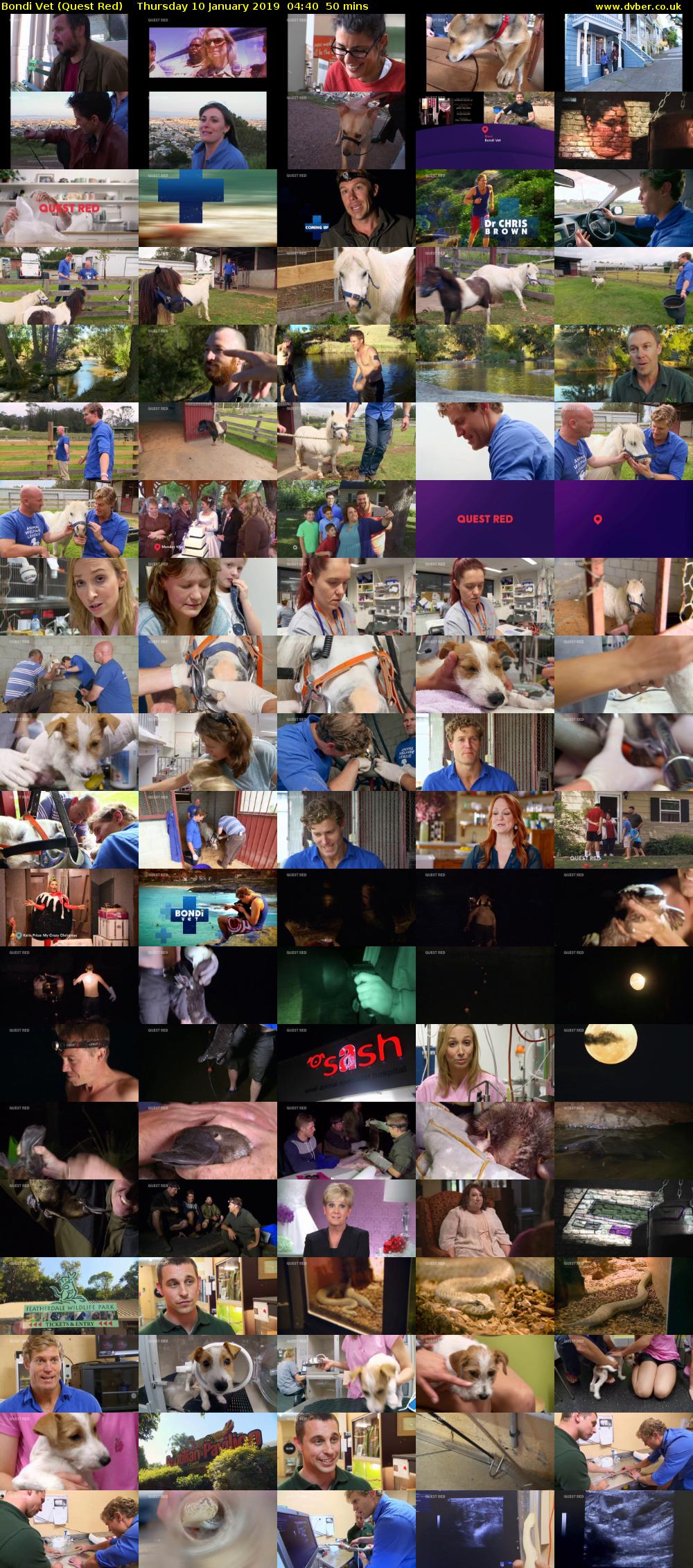 Bondi Vet (Quest Red) Thursday 10 January 2019 04:40 - 05:30