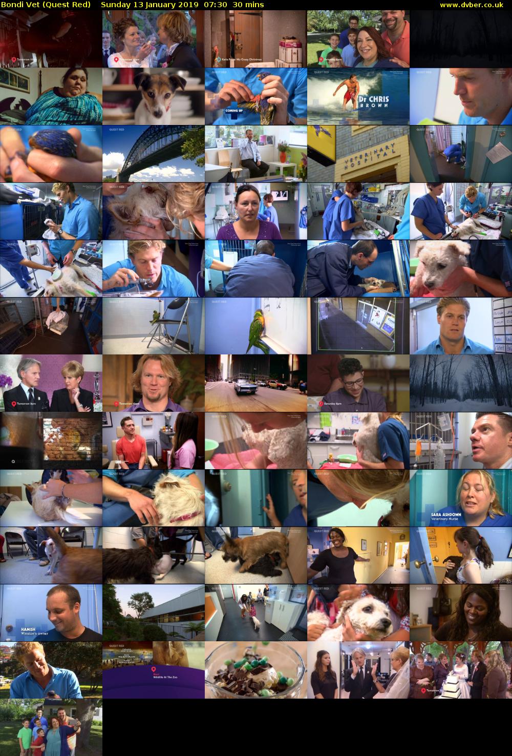 Bondi Vet (Quest Red) Sunday 13 January 2019 07:30 - 08:00