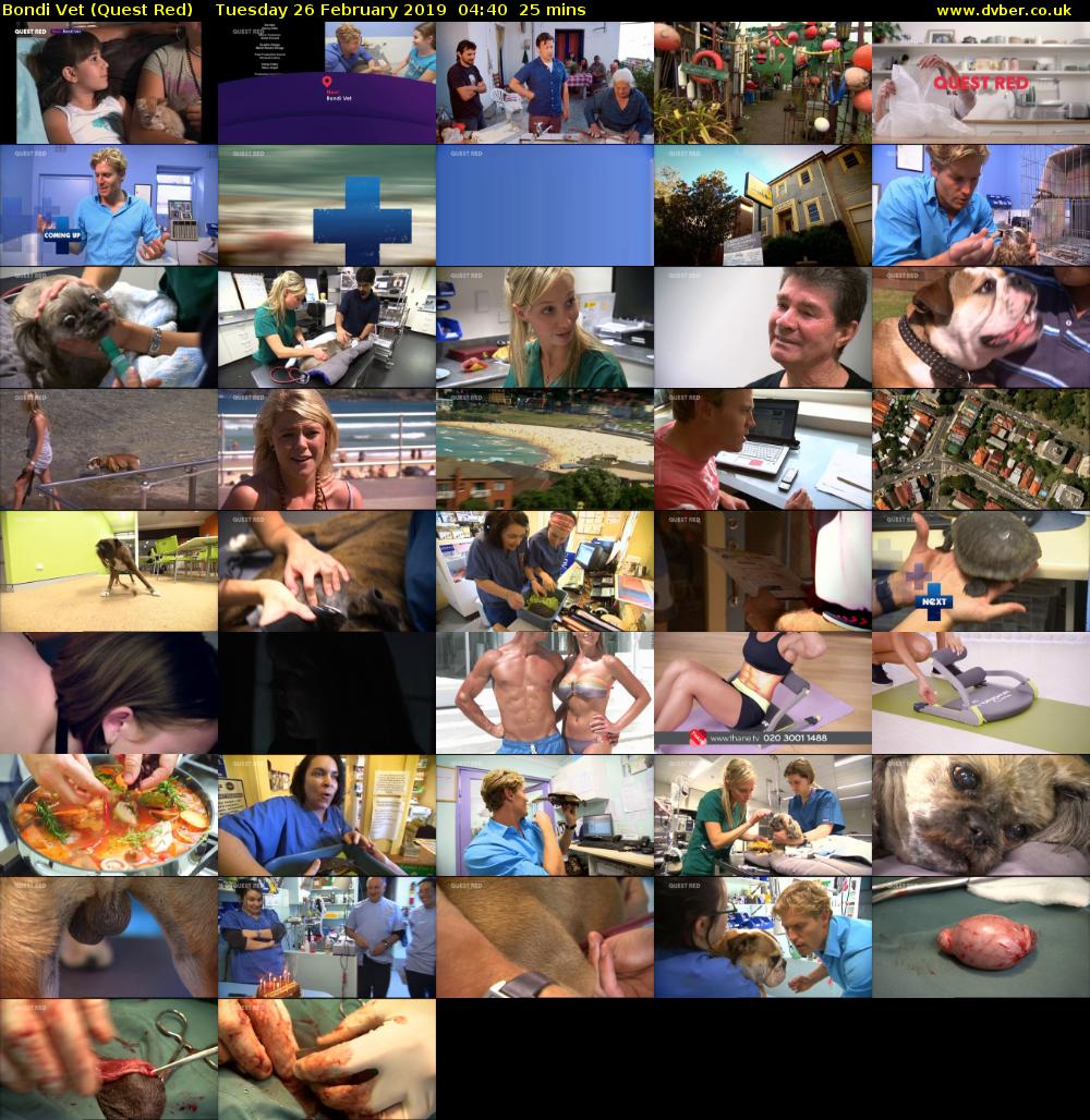 Bondi Vet (Quest Red) Tuesday 26 February 2019 04:40 - 05:05