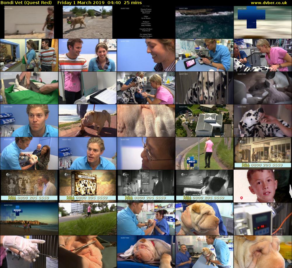 Bondi Vet (Quest Red) Friday 1 March 2019 04:40 - 05:05