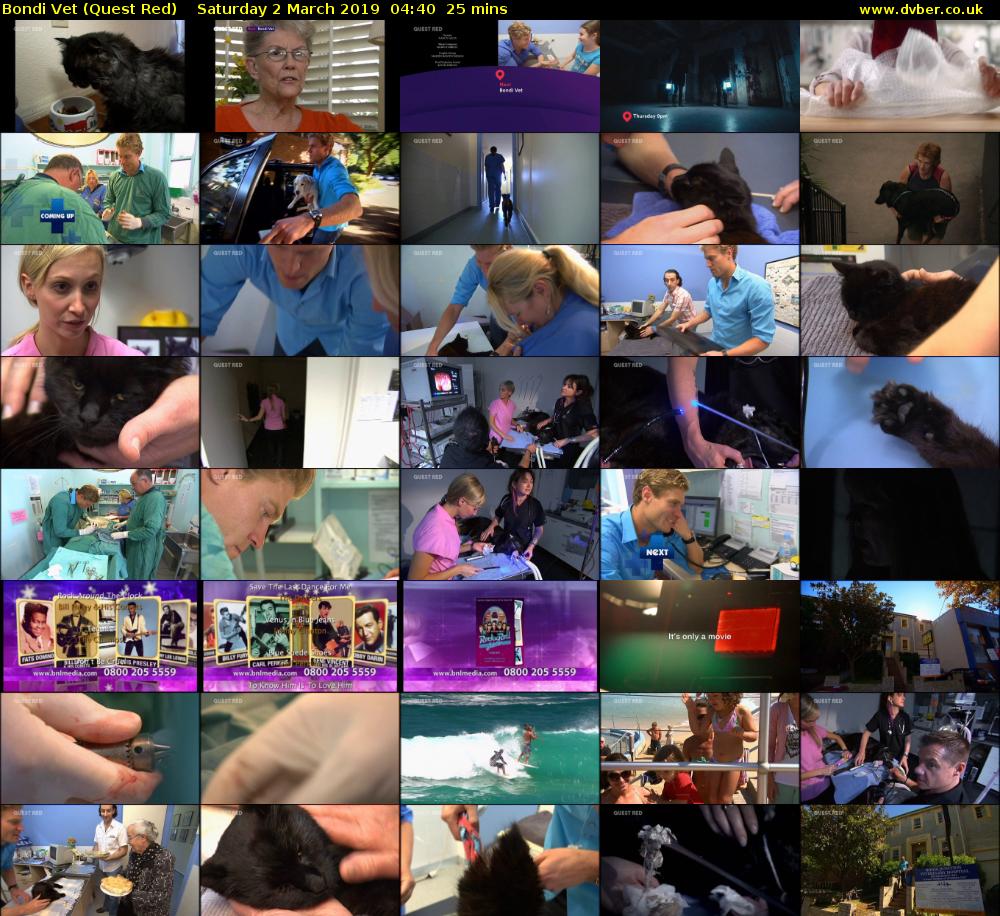 Bondi Vet (Quest Red) Saturday 2 March 2019 04:40 - 05:05