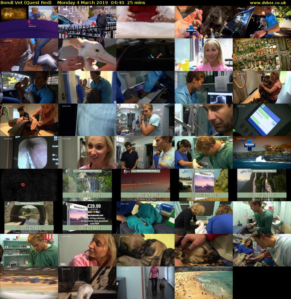 Bondi Vet (Quest Red) Monday 4 March 2019 04:40 - 05:05
