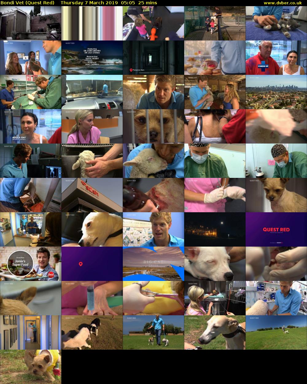 Bondi Vet (Quest Red) Thursday 7 March 2019 05:05 - 05:30