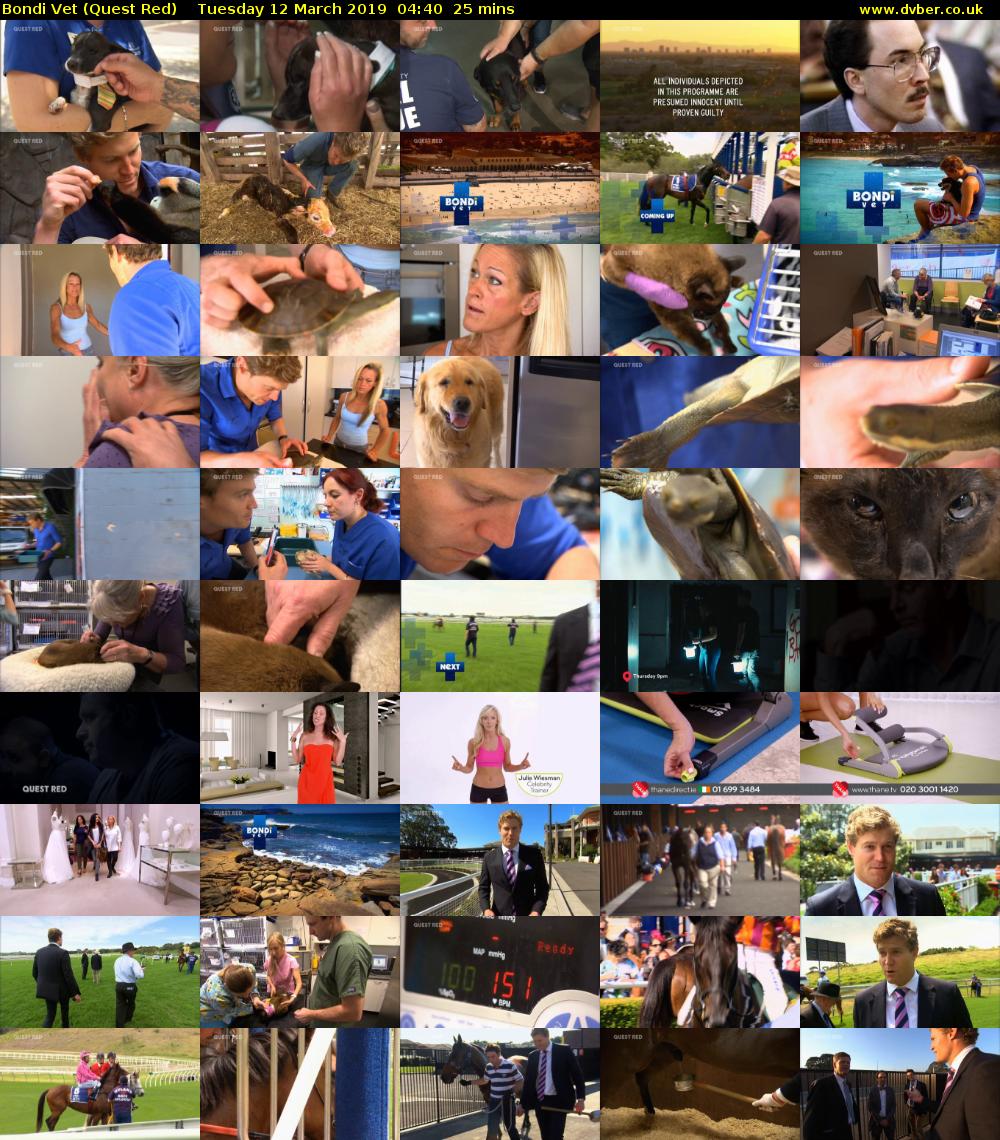 Bondi Vet (Quest Red) Tuesday 12 March 2019 04:40 - 05:05