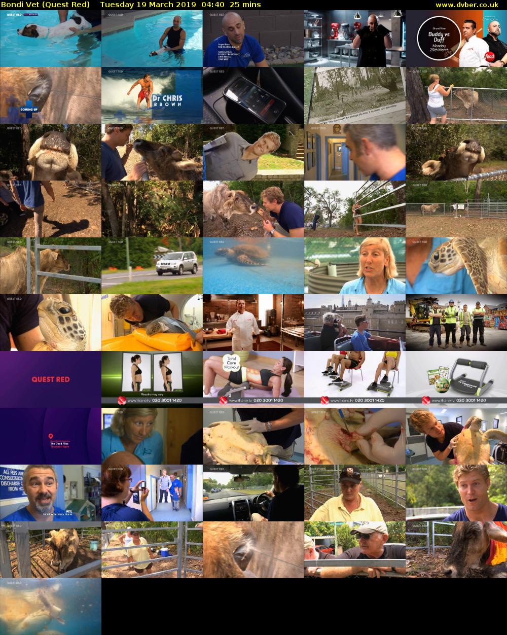 Bondi Vet (Quest Red) Tuesday 19 March 2019 04:40 - 05:05