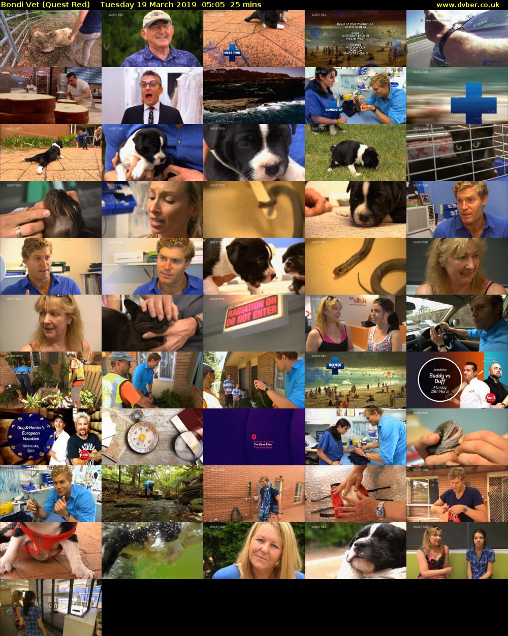 Bondi Vet (Quest Red) Tuesday 19 March 2019 05:05 - 05:30