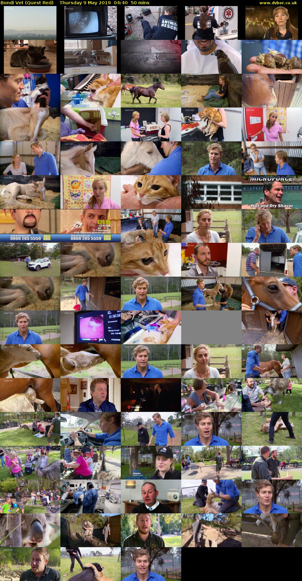 Bondi Vet (Quest Red) Thursday 9 May 2019 04:40 - 05:30