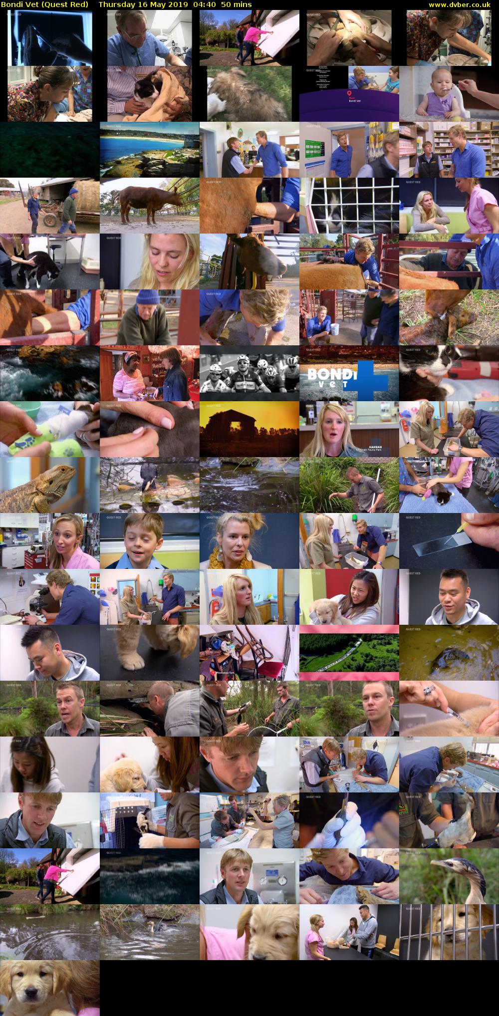 Bondi Vet (Quest Red) Thursday 16 May 2019 04:40 - 05:30