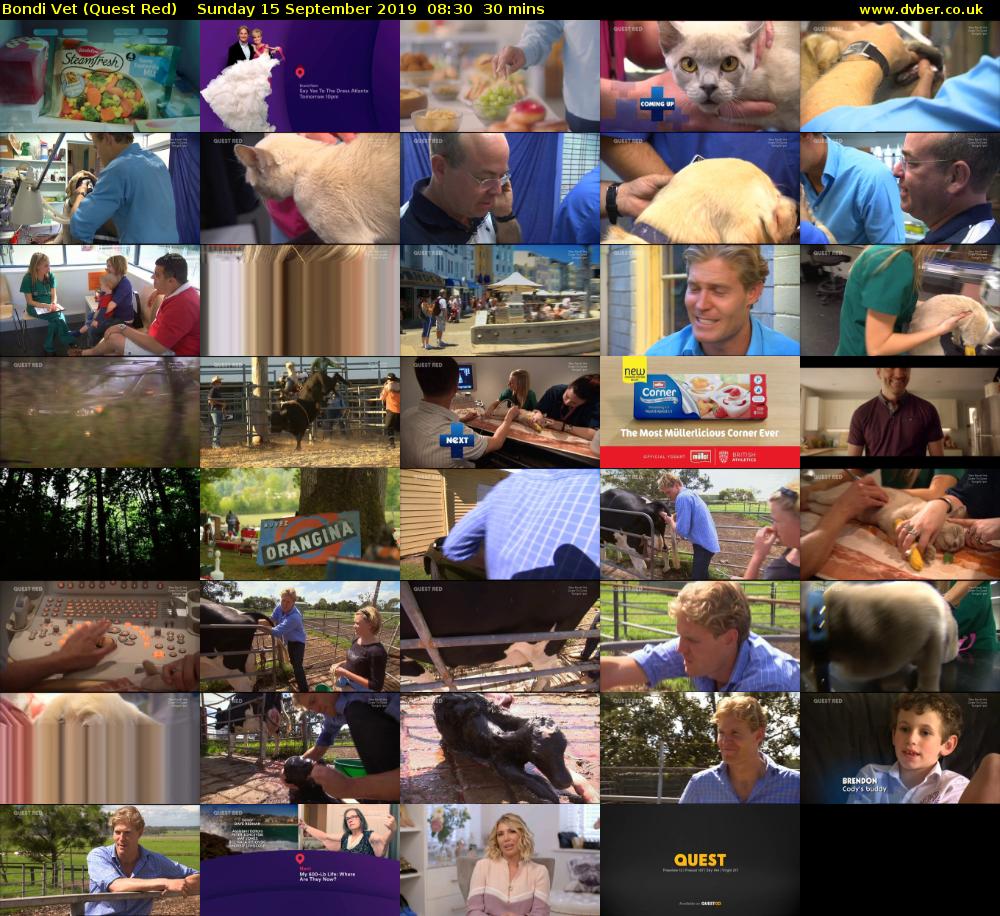 Bondi Vet (Quest Red) Sunday 15 September 2019 08:30 - 09:00