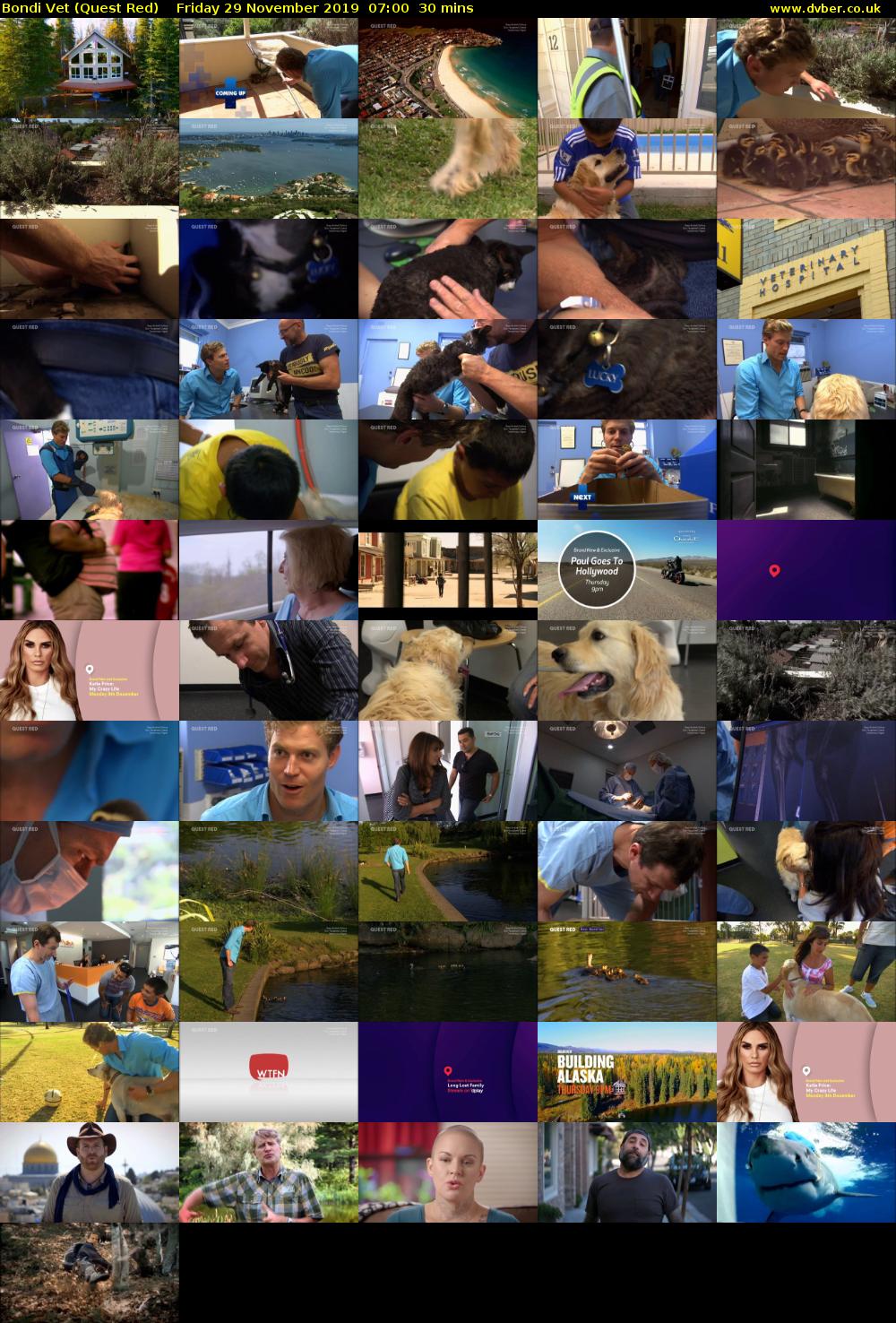 Bondi Vet (Quest Red) Friday 29 November 2019 07:00 - 07:30