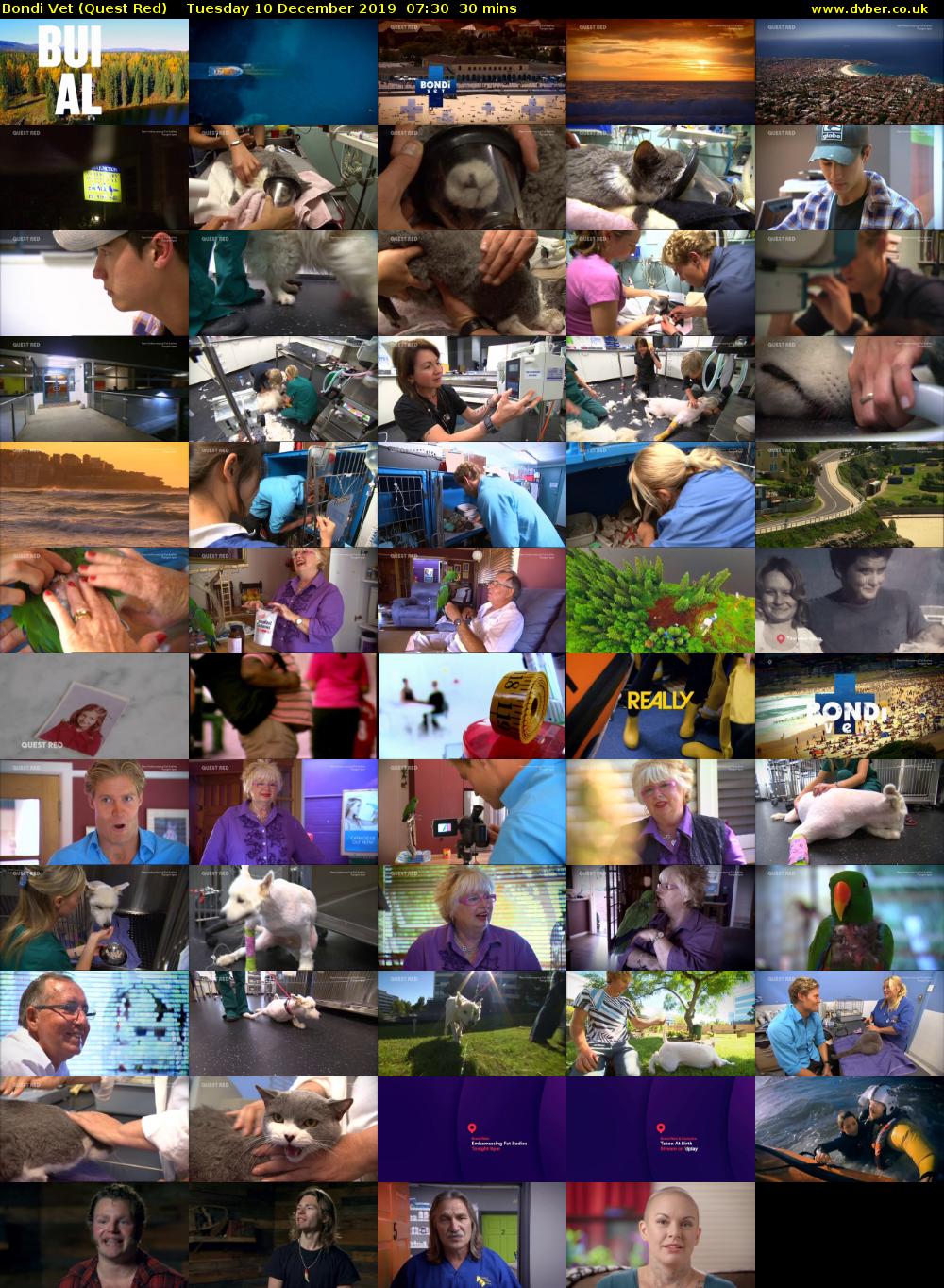 Bondi Vet (Quest Red) Tuesday 10 December 2019 07:30 - 08:00
