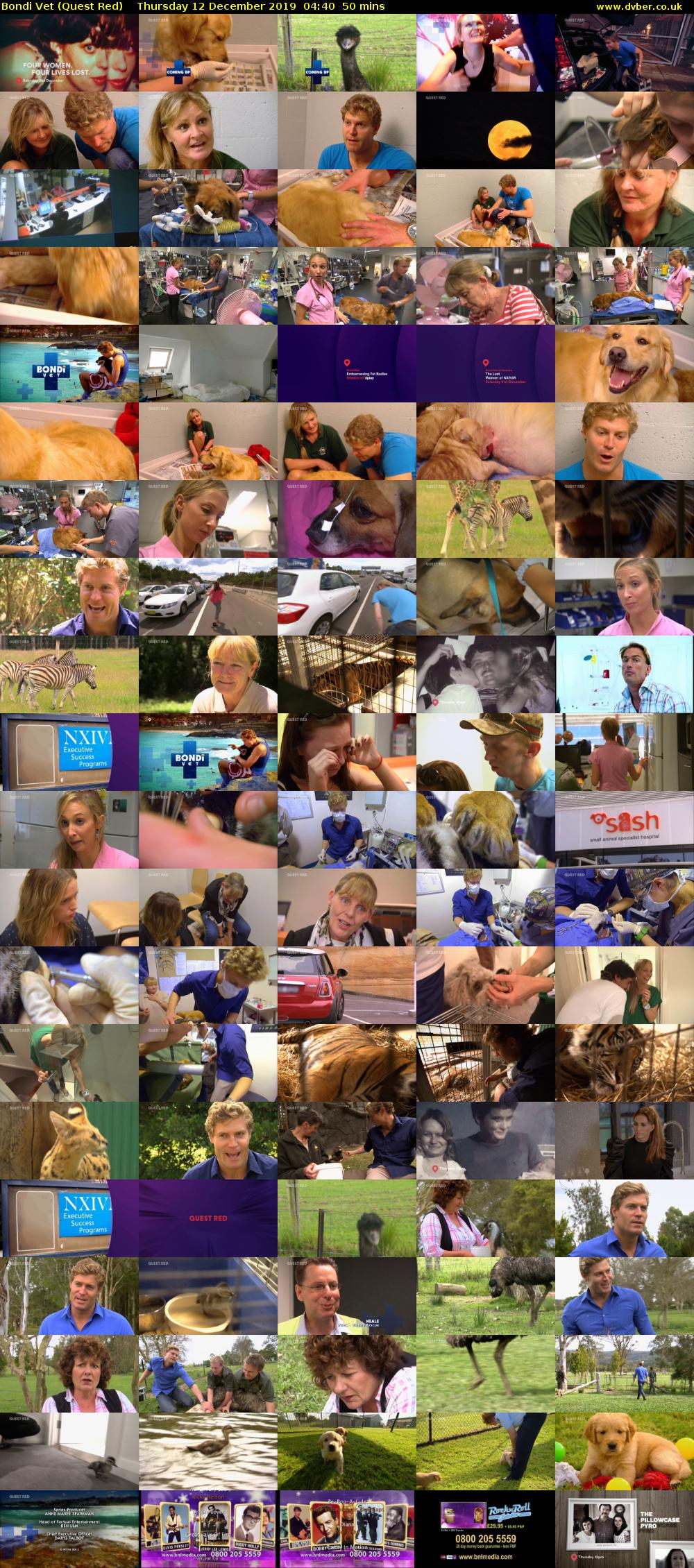 Bondi Vet (Quest Red) Thursday 12 December 2019 04:40 - 05:30
