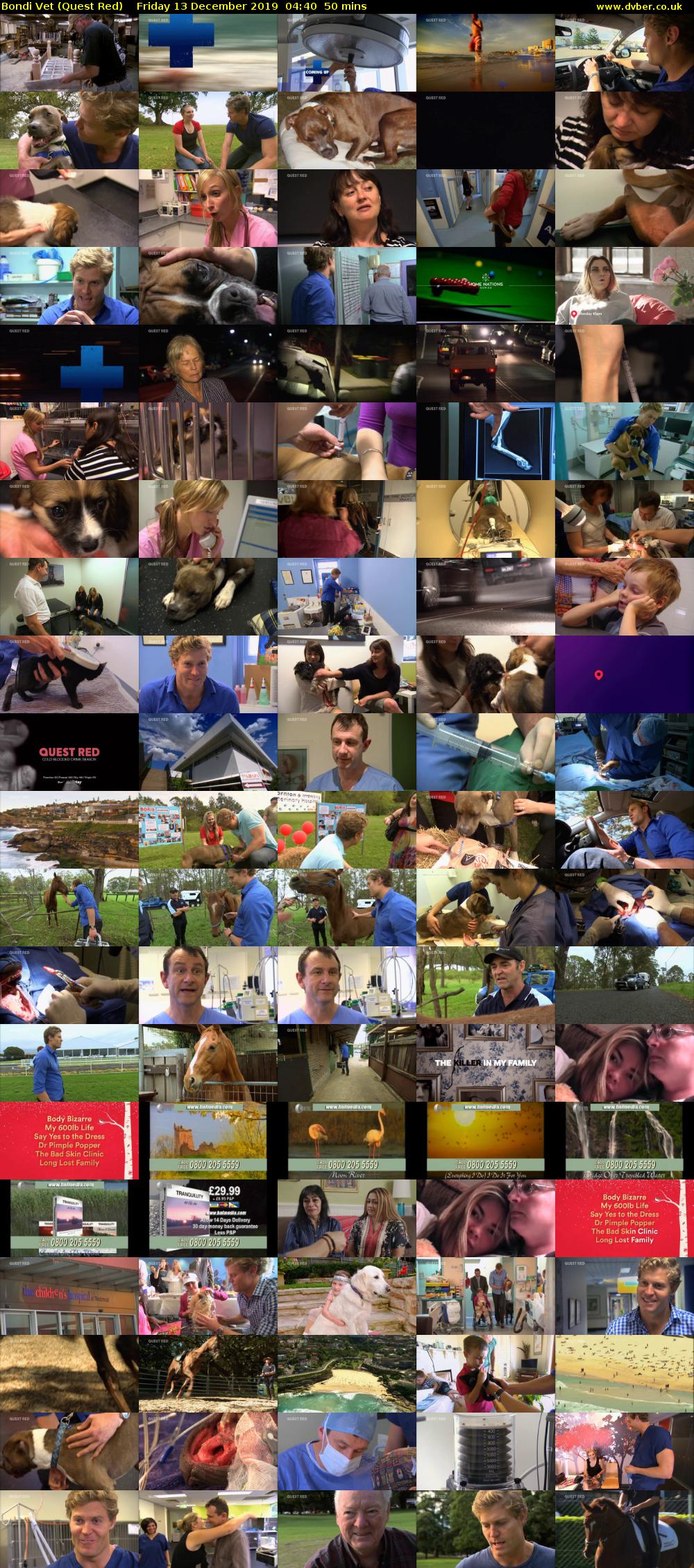 Bondi Vet (Quest Red) Friday 13 December 2019 04:40 - 05:30