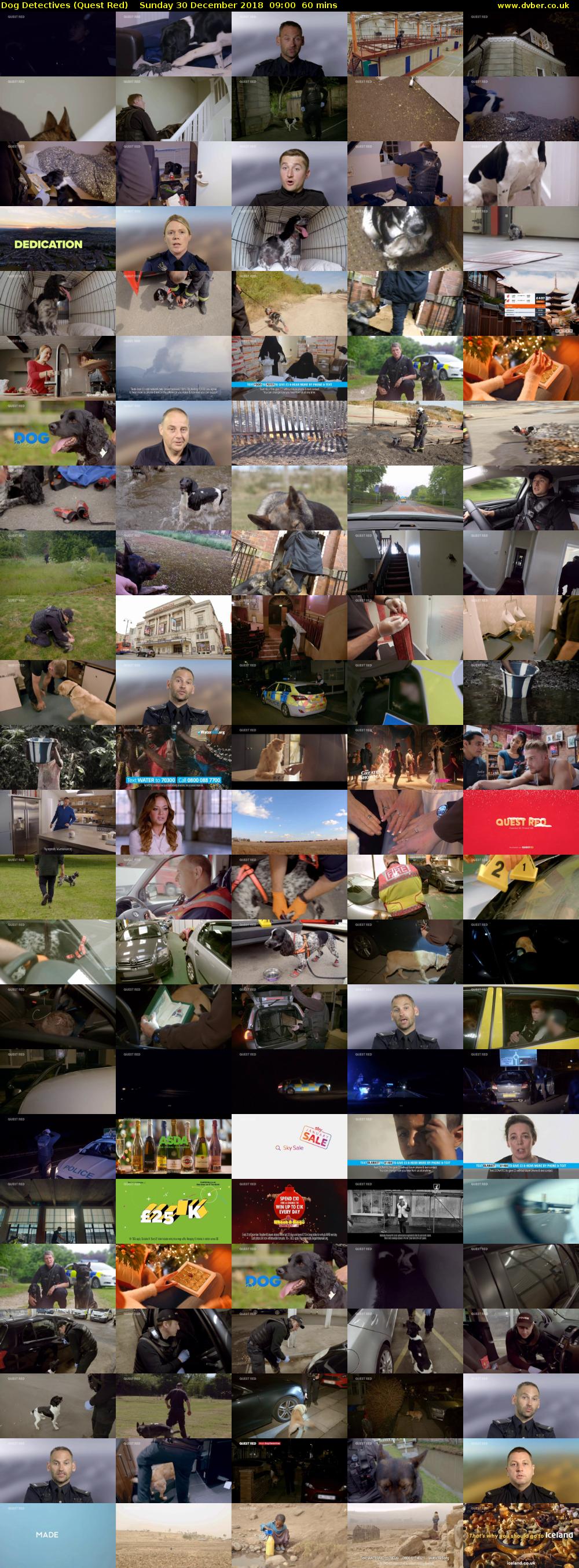 Dog Detectives (Quest Red) Sunday 30 December 2018 09:00 - 10:00