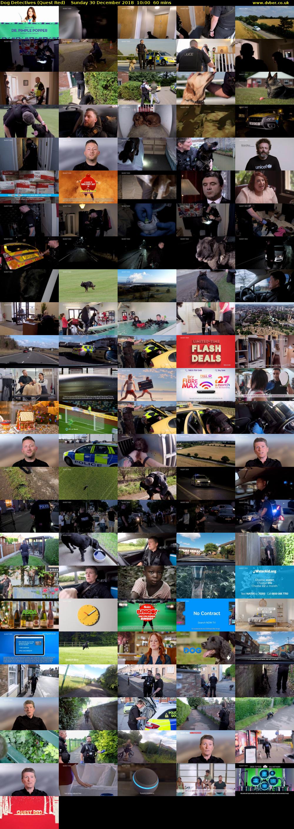 Dog Detectives (Quest Red) Sunday 30 December 2018 10:00 - 11:00