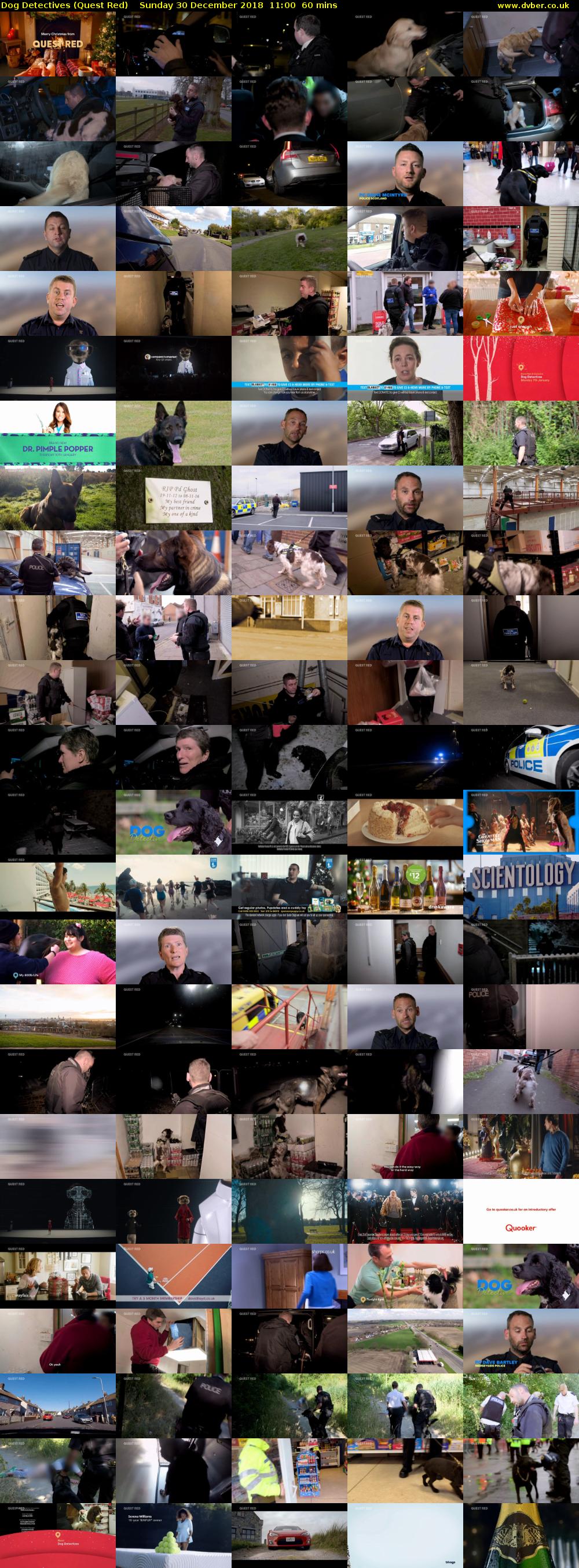 Dog Detectives (Quest Red) Sunday 30 December 2018 11:00 - 12:00