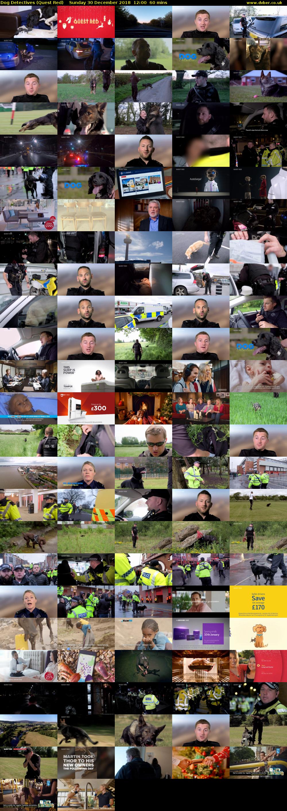 Dog Detectives (Quest Red) Sunday 30 December 2018 12:00 - 13:00