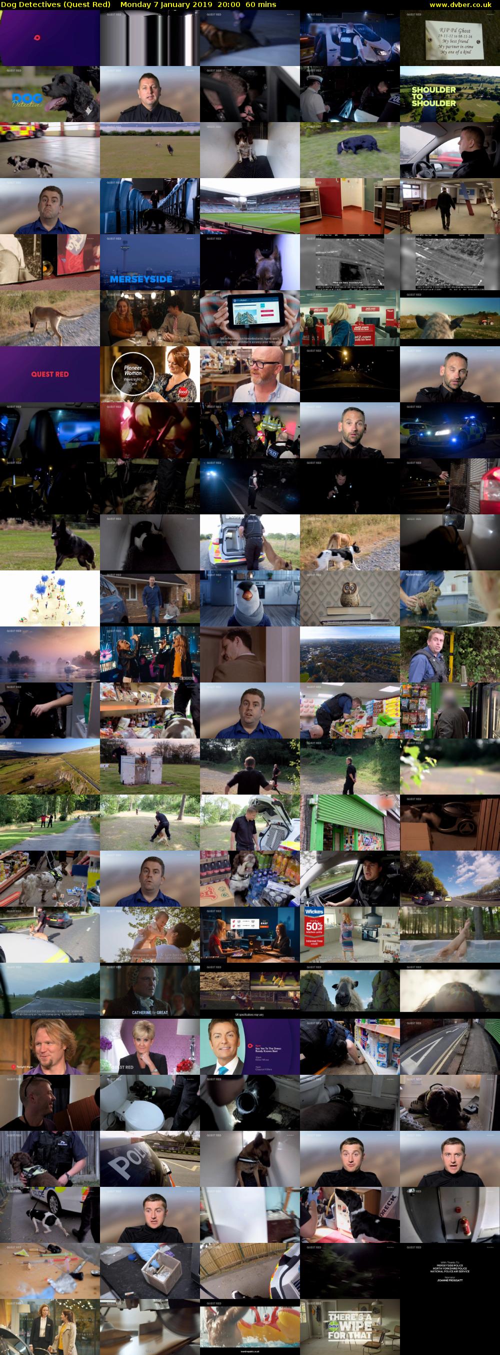 Dog Detectives (Quest Red) Monday 7 January 2019 20:00 - 21:00