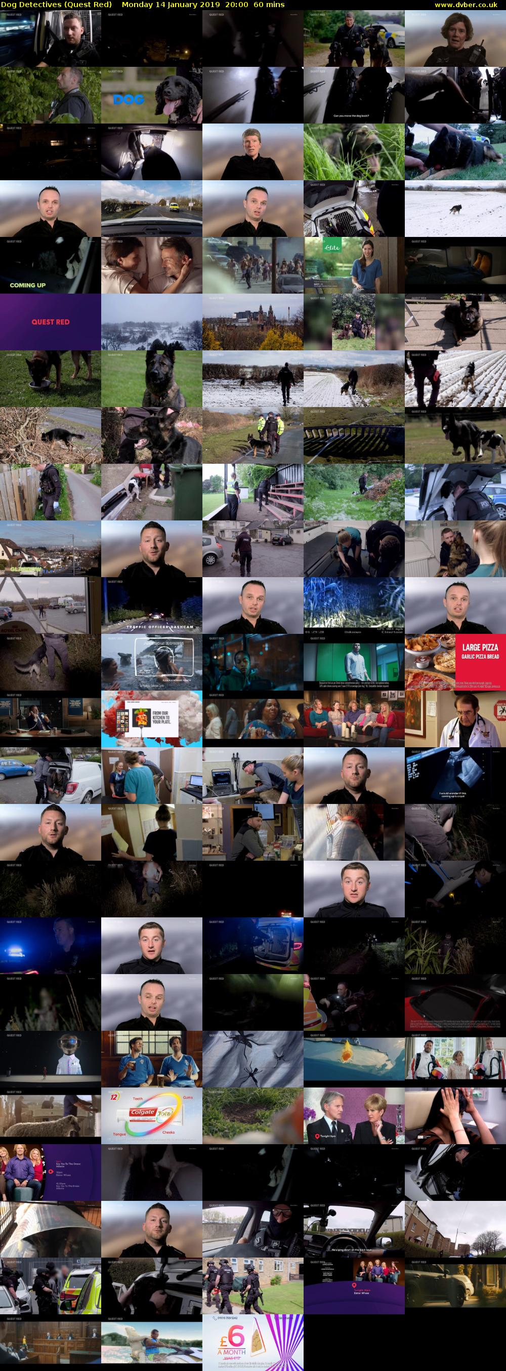 Dog Detectives (Quest Red) Monday 14 January 2019 20:00 - 21:00