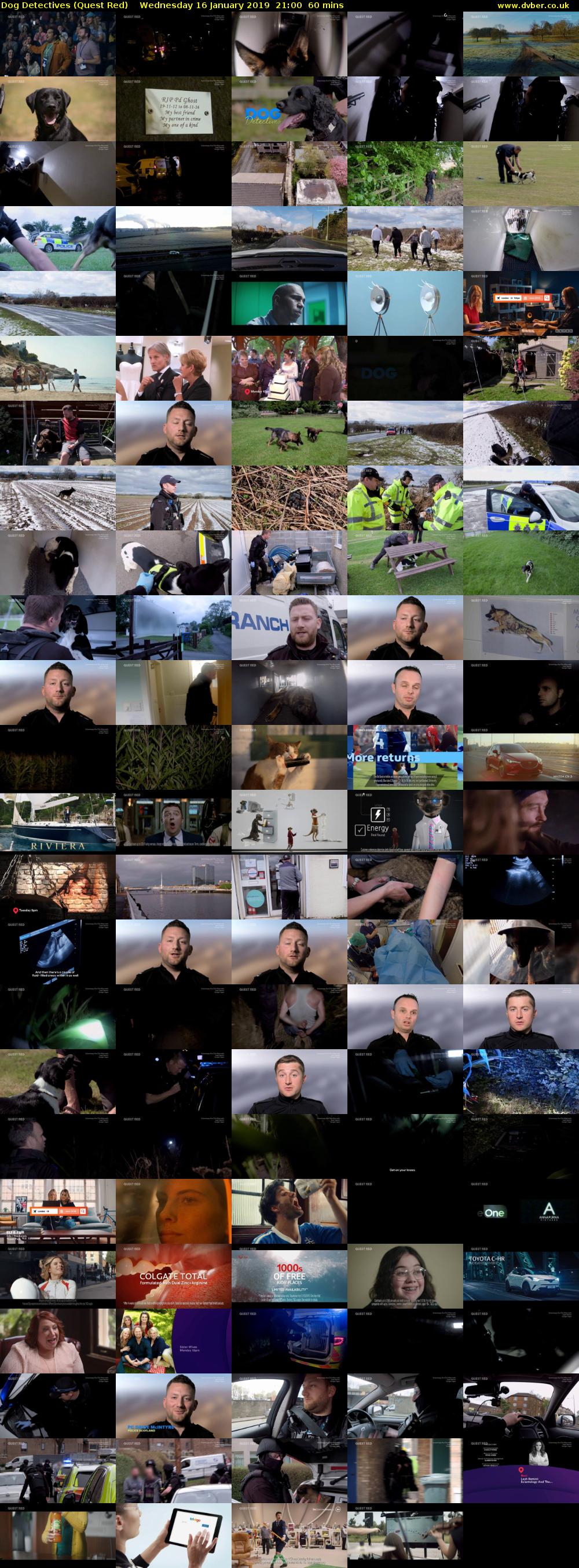 Dog Detectives (Quest Red) Wednesday 16 January 2019 21:00 - 22:00