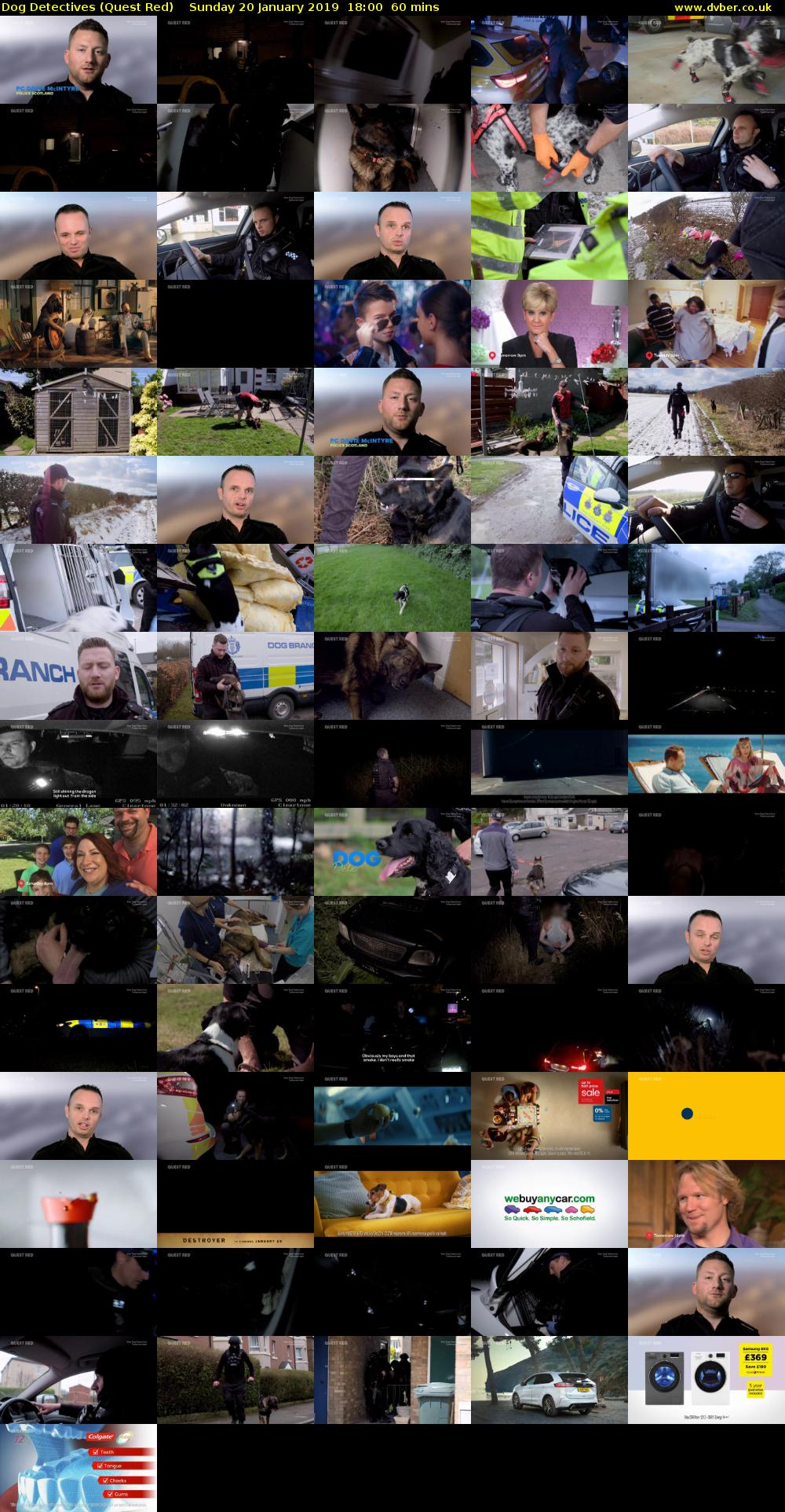 Dog Detectives (Quest Red) Sunday 20 January 2019 18:00 - 19:00