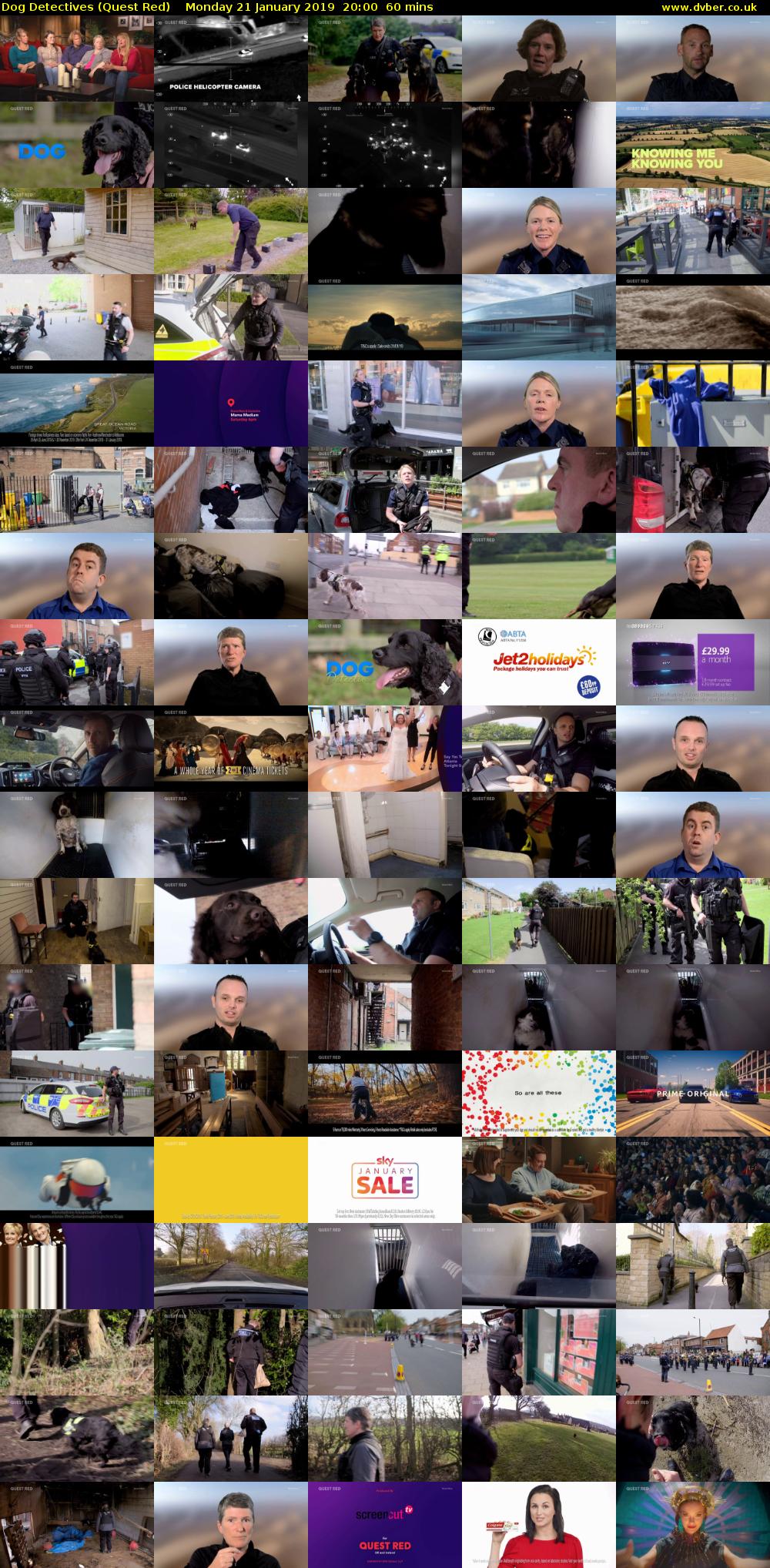 Dog Detectives (Quest Red) Monday 21 January 2019 20:00 - 21:00