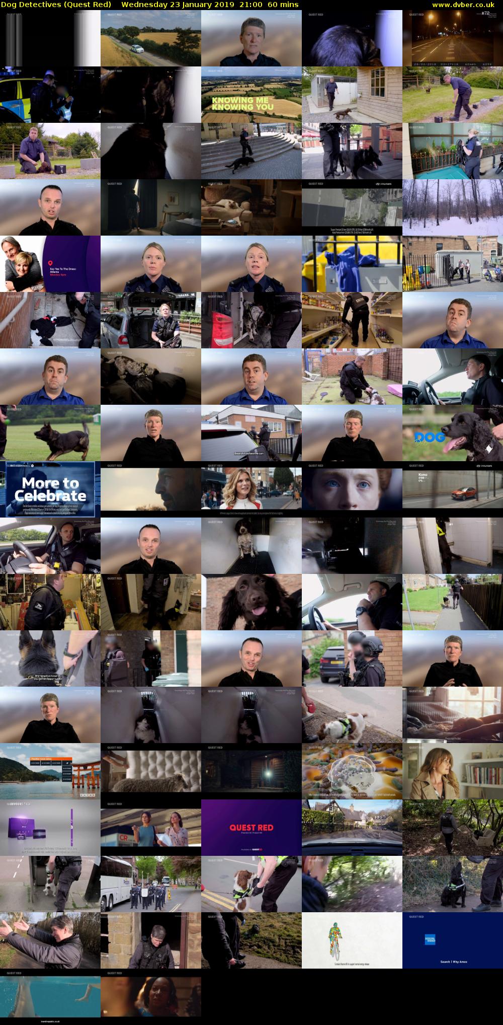 Dog Detectives (Quest Red) Wednesday 23 January 2019 21:00 - 22:00