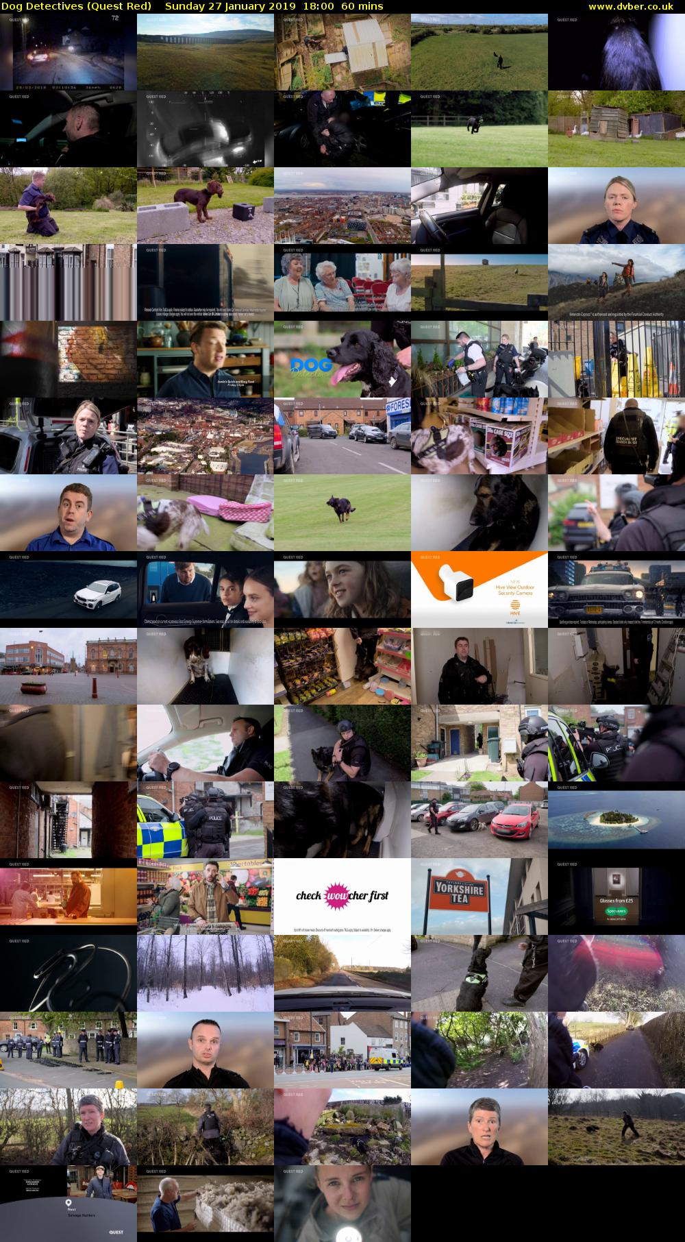 Dog Detectives (Quest Red) Sunday 27 January 2019 18:00 - 19:00