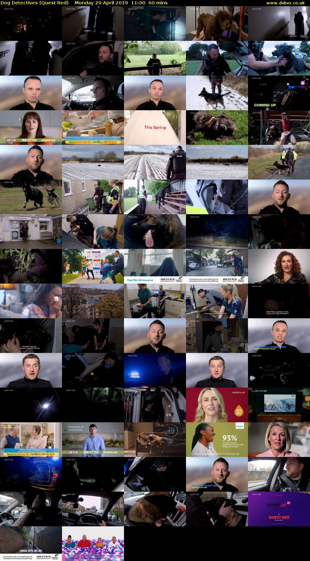 Dog Detectives (Quest Red) Monday 29 April 2019 11:00 - 12:00