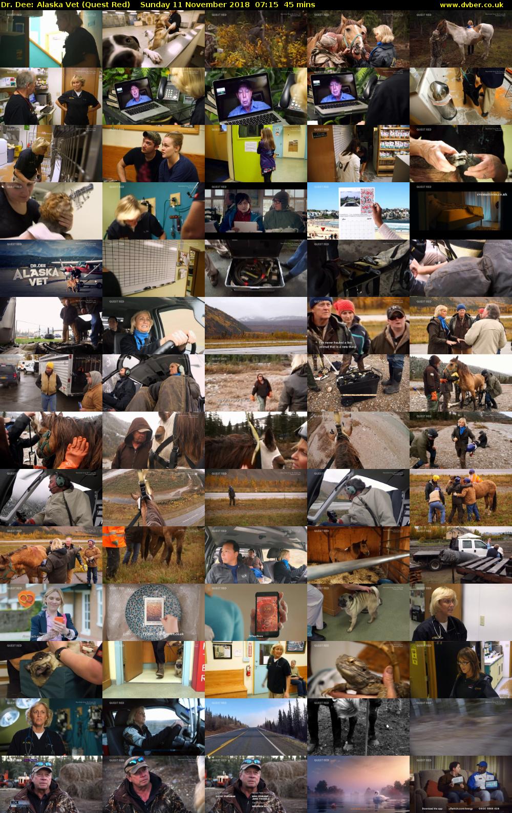 Dr. Dee: Alaska Vet (Quest Red) Sunday 11 November 2018 07:15 - 08:00