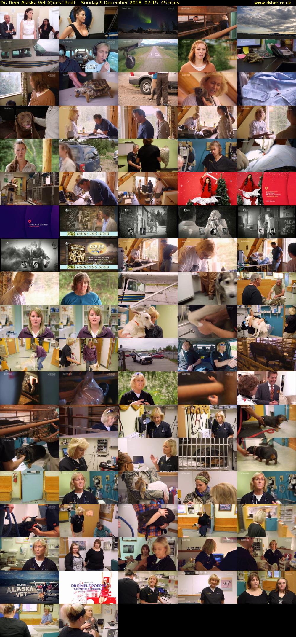 Dr. Dee: Alaska Vet (Quest Red) Sunday 9 December 2018 07:15 - 08:00