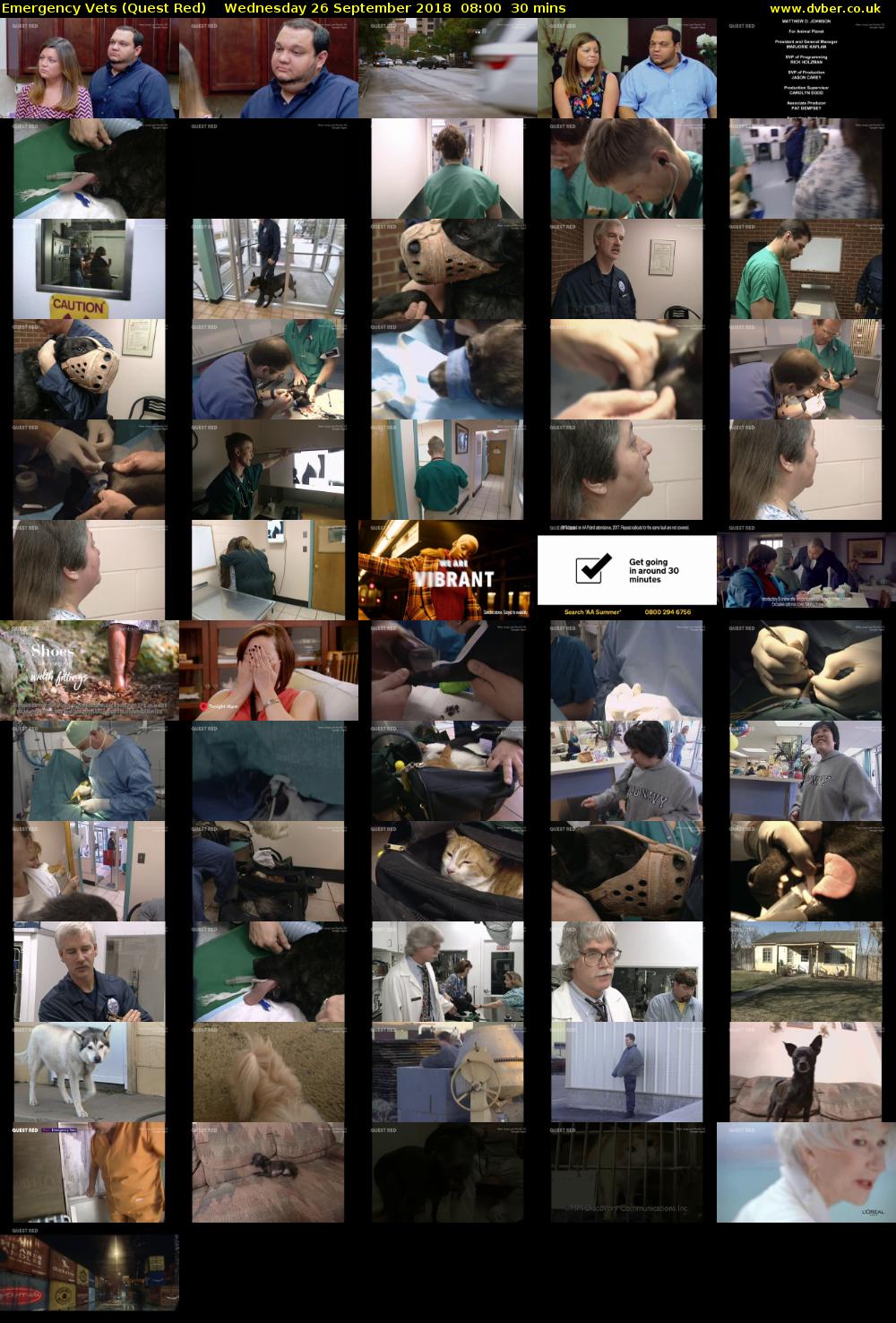 Emergency Vets (Quest Red) Wednesday 26 September 2018 08:00 - 08:30