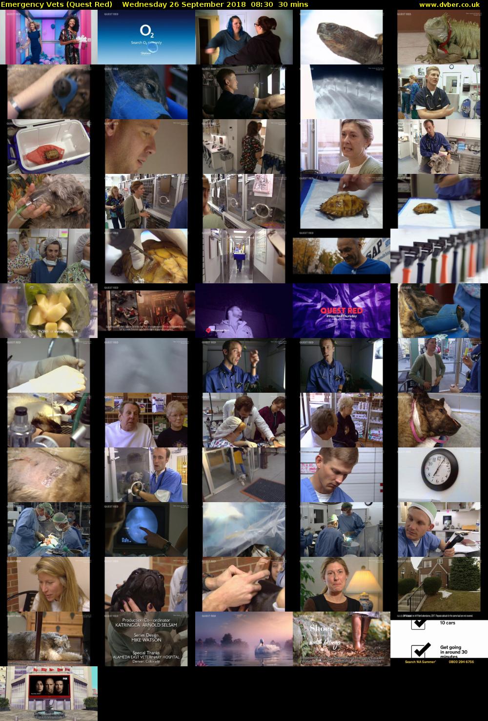 Emergency Vets (Quest Red) Wednesday 26 September 2018 08:30 - 09:00