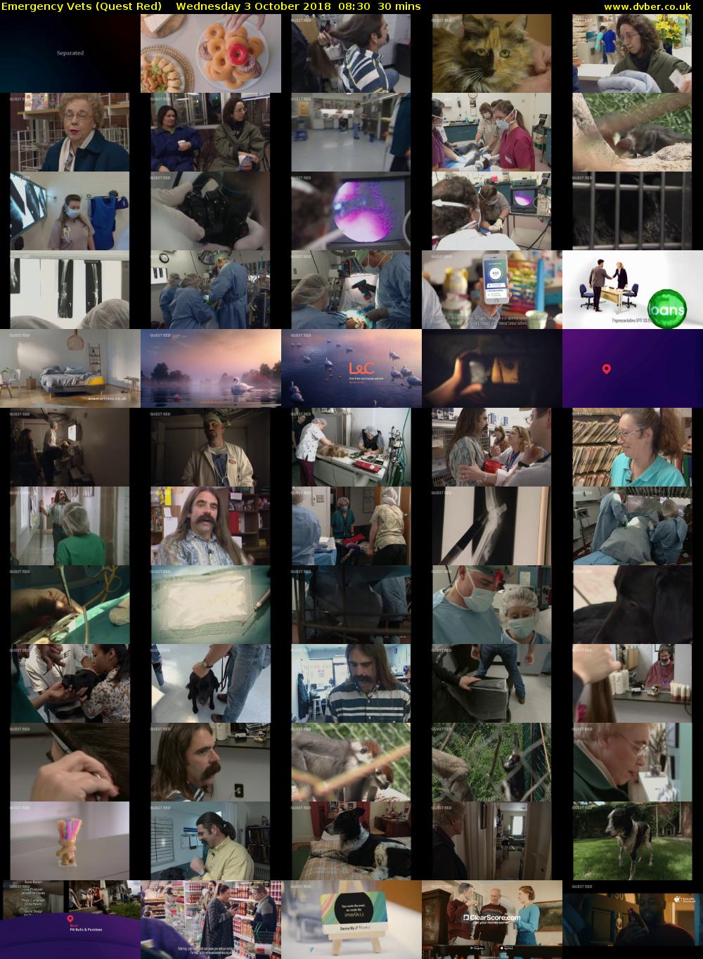 Emergency Vets (Quest Red) Wednesday 3 October 2018 08:30 - 09:00