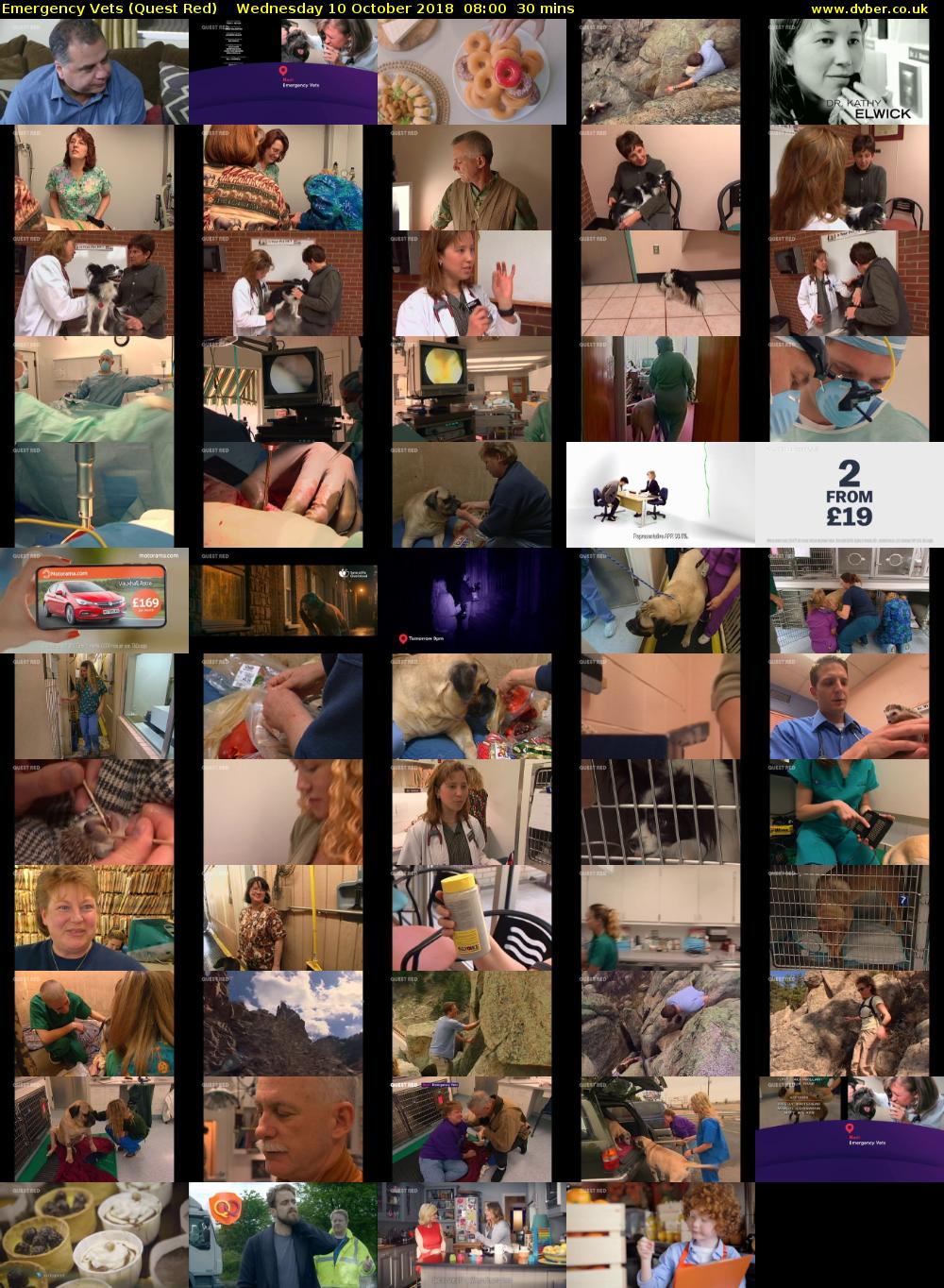 Emergency Vets (Quest Red) Wednesday 10 October 2018 08:00 - 08:30