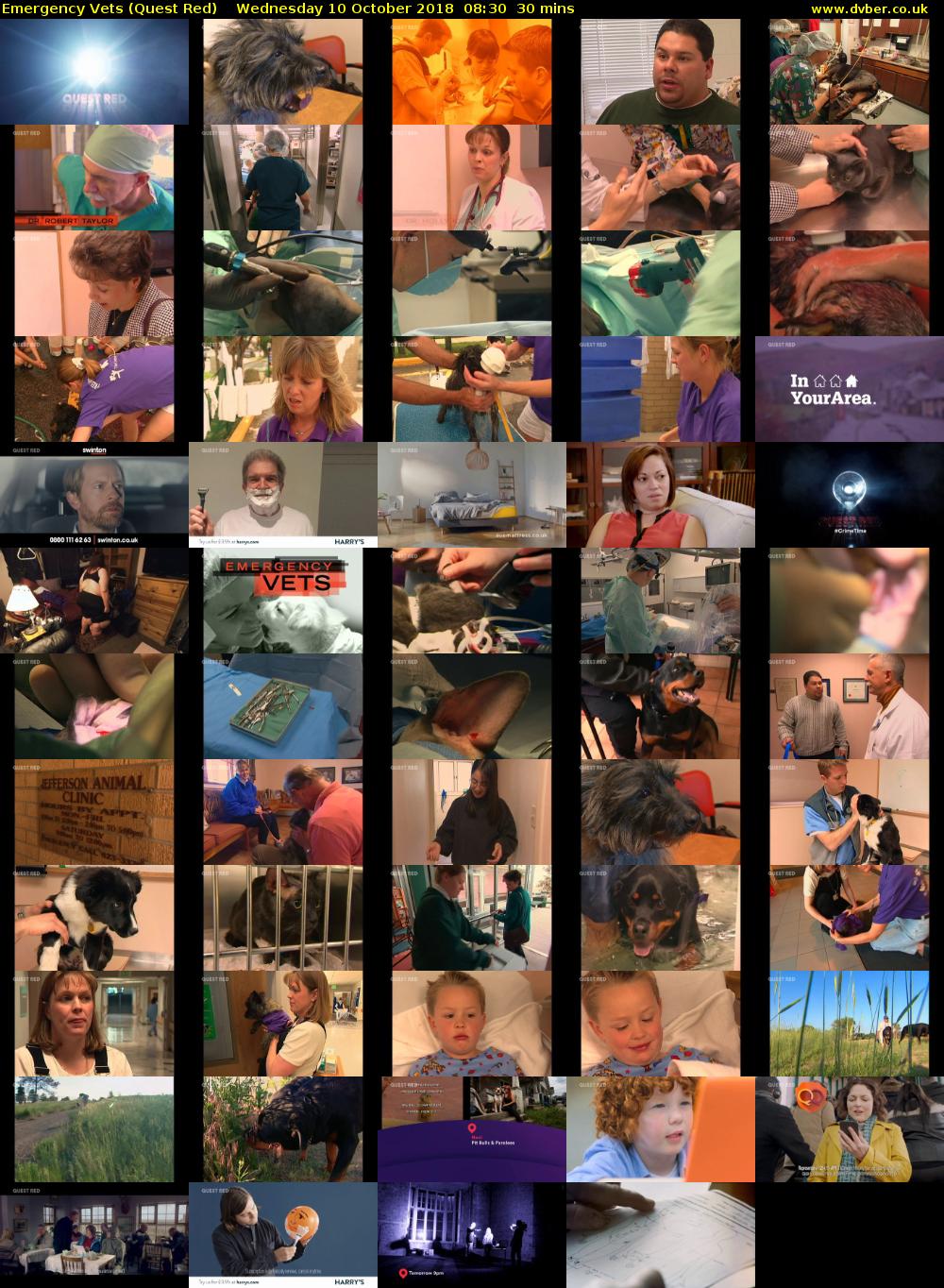 Emergency Vets (Quest Red) Wednesday 10 October 2018 08:30 - 09:00