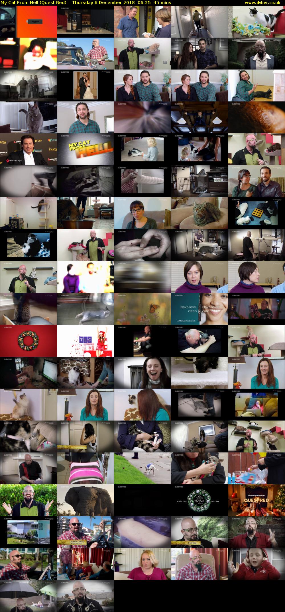 My Cat From Hell (Quest Red) Thursday 6 December 2018 06:25 - 07:10