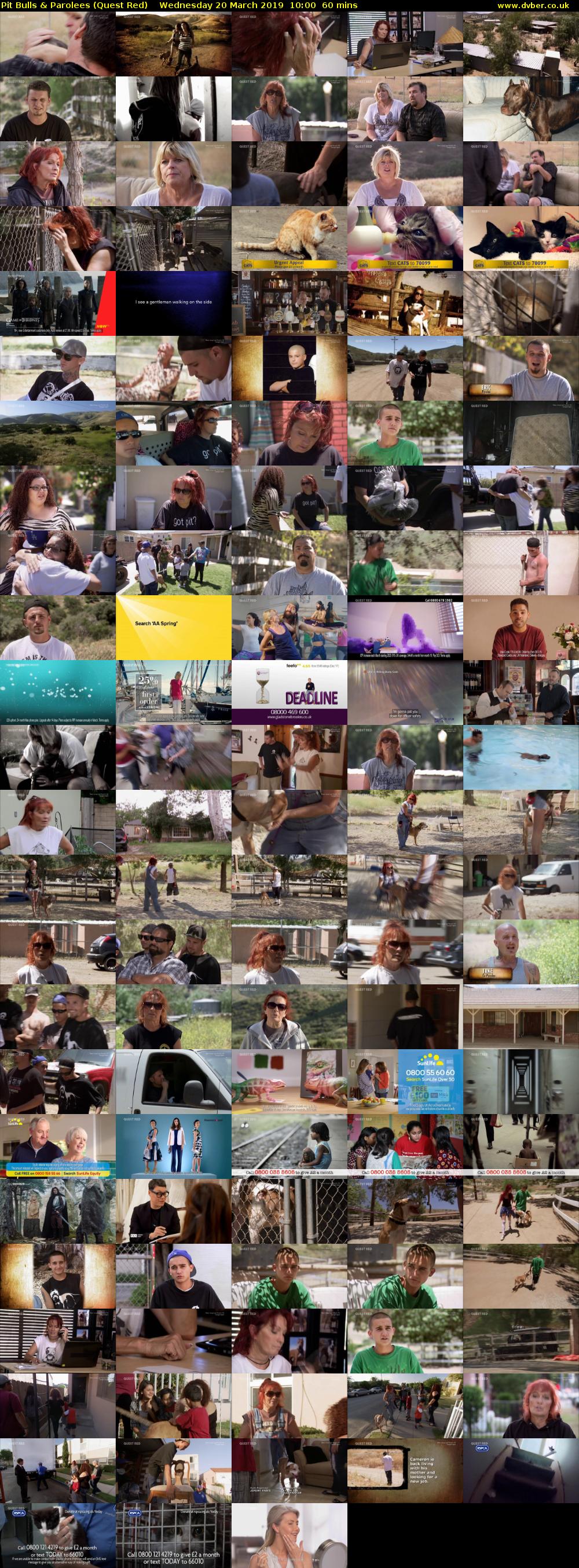 Pit Bulls & Parolees (Quest Red) Wednesday 20 March 2019 10:00 - 11:00