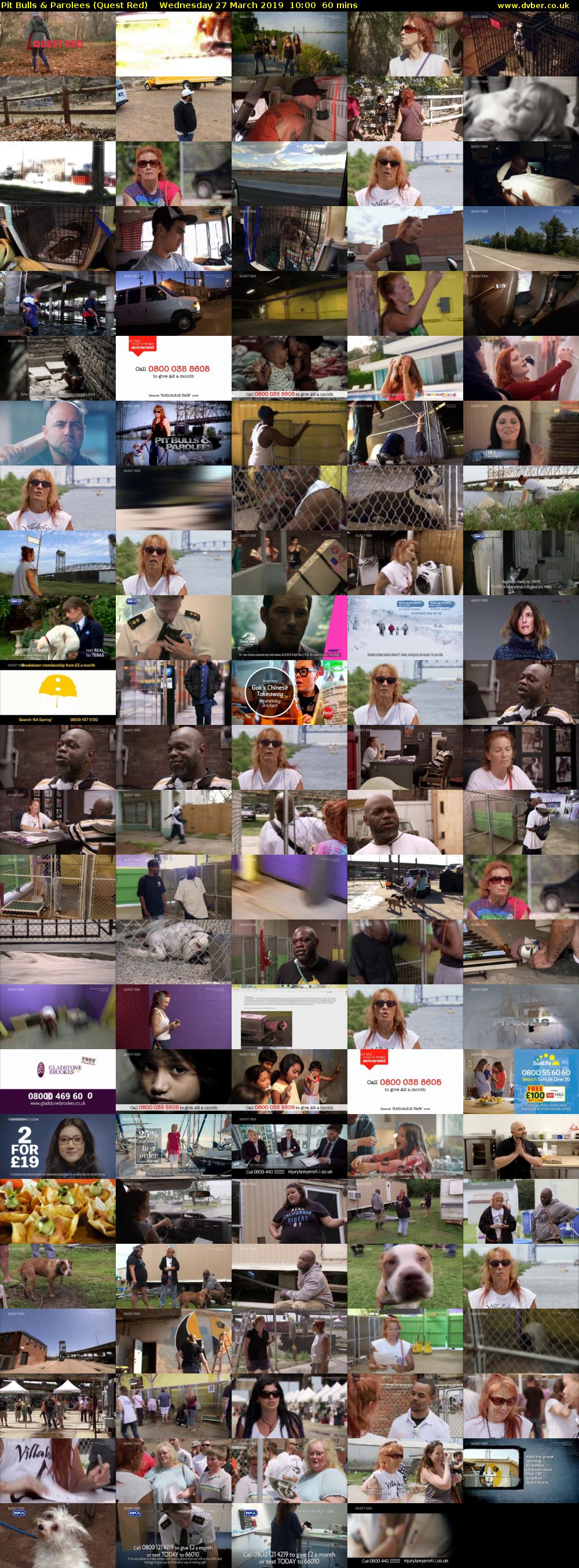 Pit Bulls & Parolees (Quest Red) Wednesday 27 March 2019 10:00 - 11:00