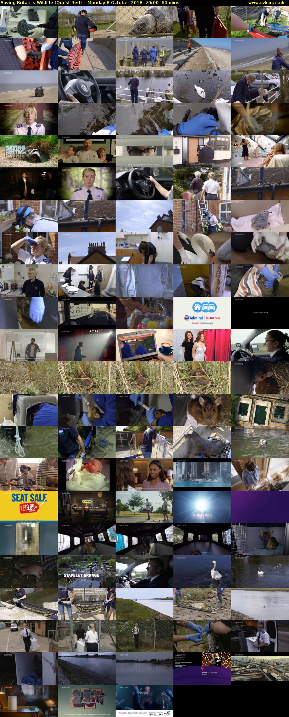 Saving Britain's Wildlife (Quest Red) Monday 8 October 2018 20:00 - 21:00