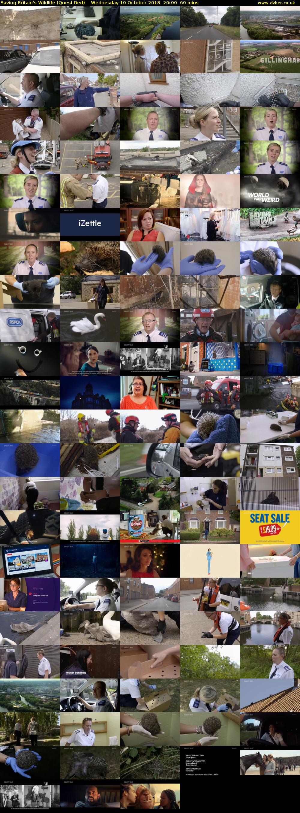 Saving Britain's Wildlife (Quest Red) Wednesday 10 October 2018 20:00 - 21:00